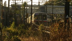 1000113640