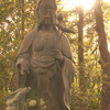 DSC06637