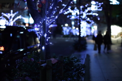 近所の街路樹