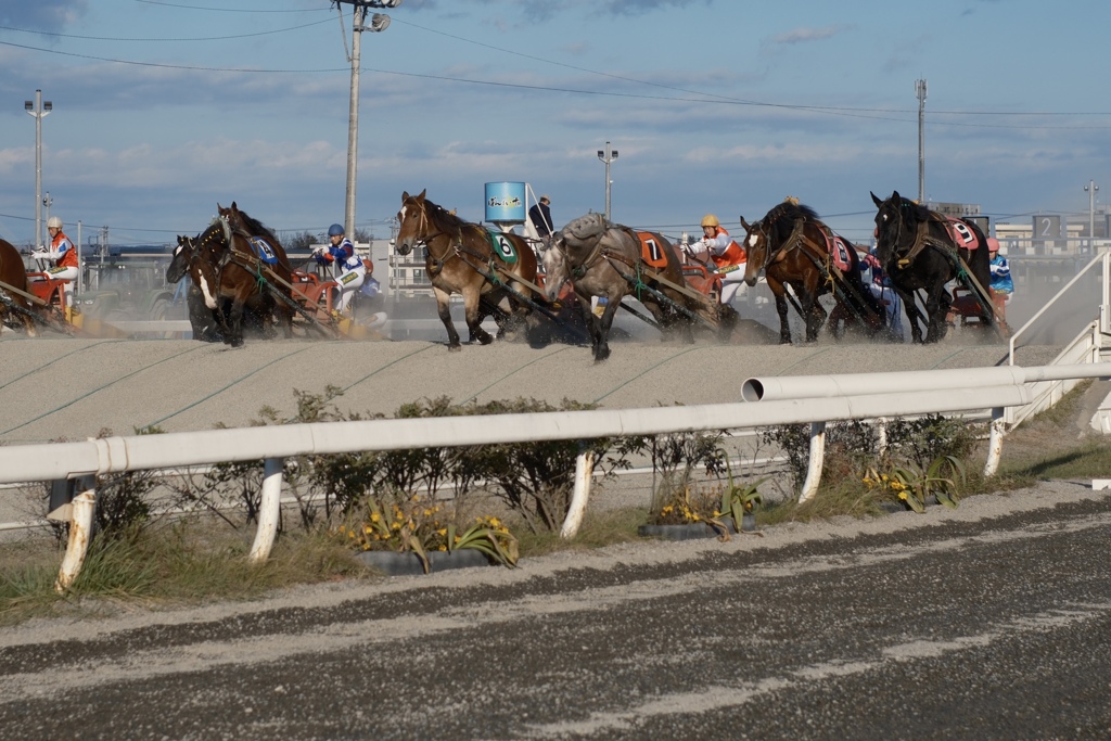 ばんえい競馬