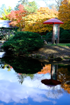 秋の庭園