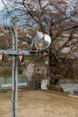 ゲートボール場の照明