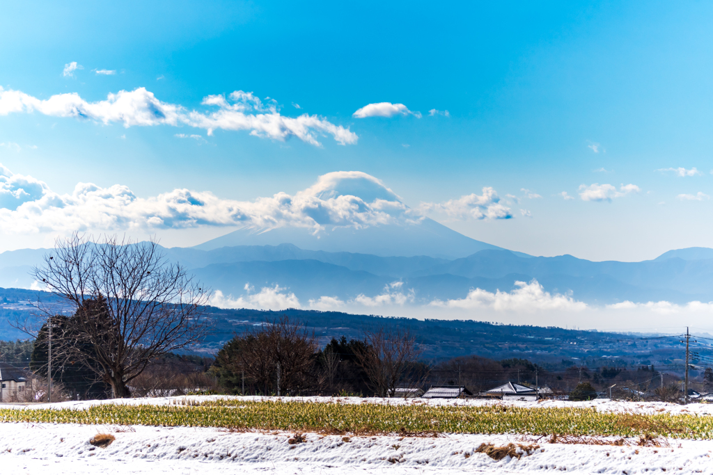 冬の富士山