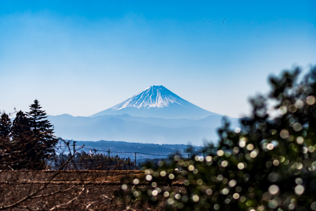 富士山