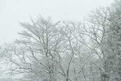 雪