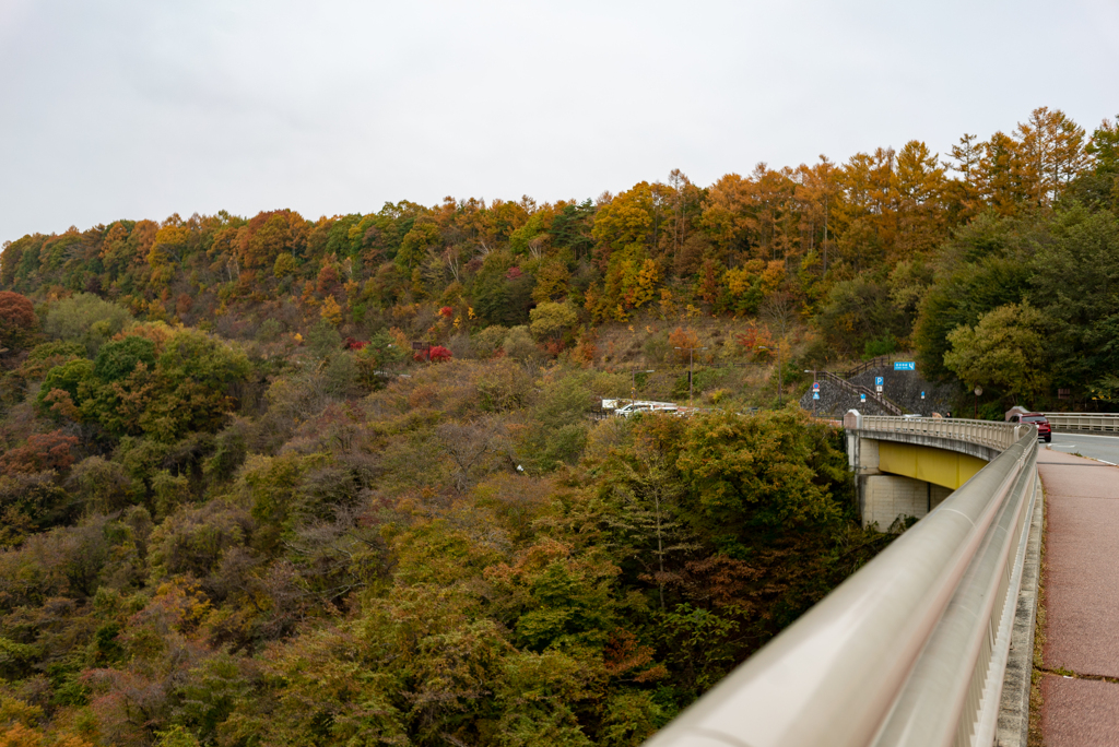 紅葉（八ヶ岳高原大橋）