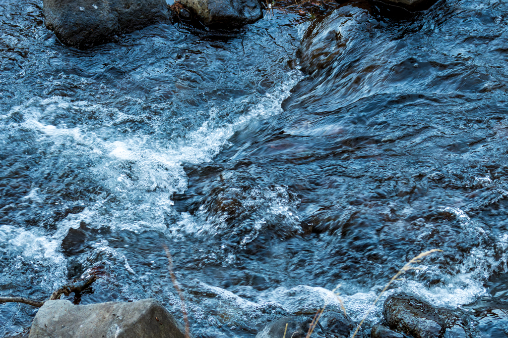 冬の小川