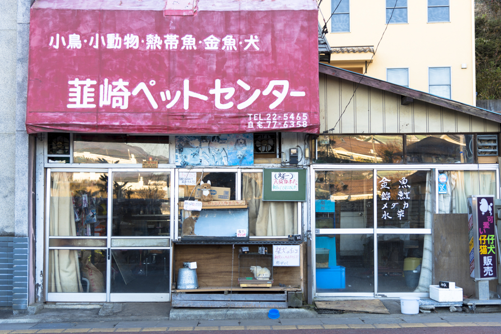 韮崎ペットセンター（7年前の韮崎）