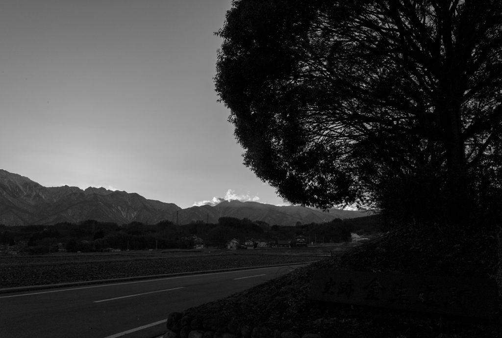 夕の金生公園