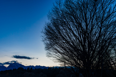 夕景