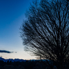 夕景
