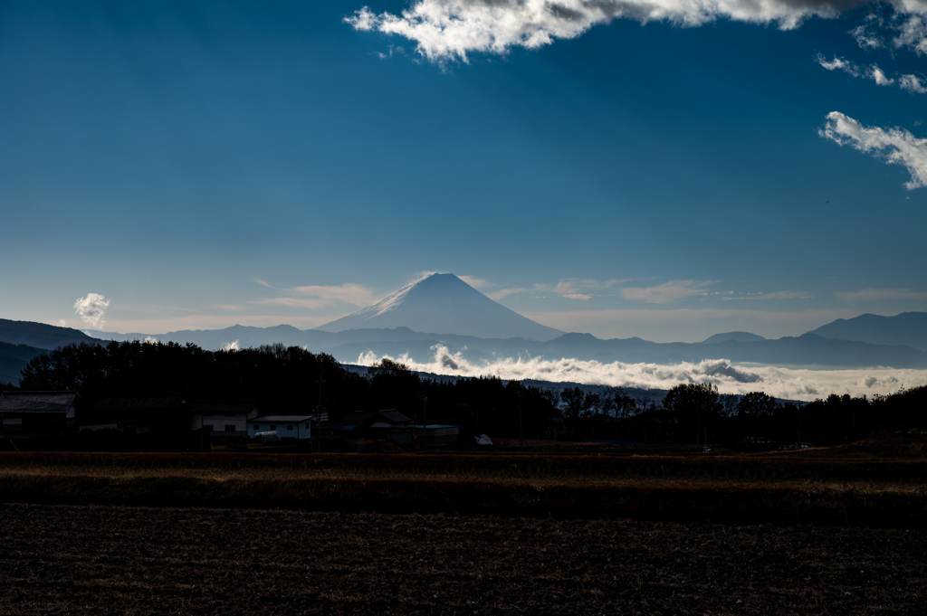 朝の富士山