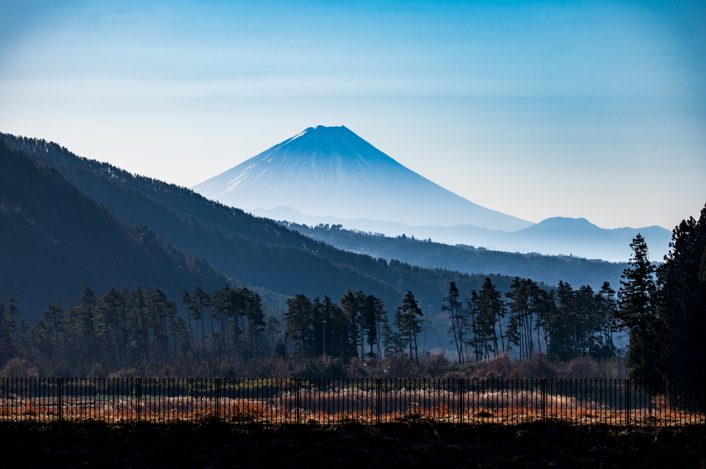 朝の富士山