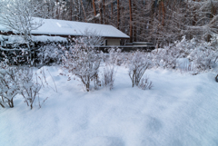 庭が雪に埋まる（2018）