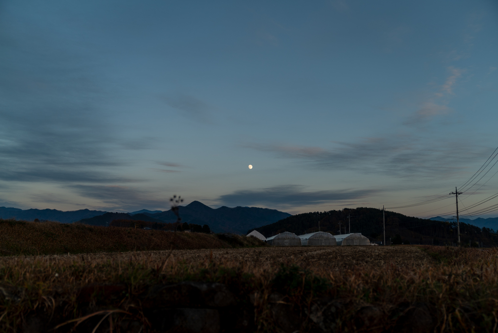東の空の月
