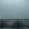 車窓（雪混じりの雨）