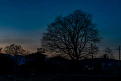夕景