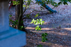 逸見神社