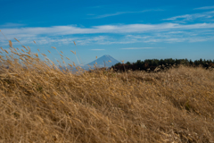 向こうに見える富士山