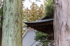 樹々の向こう　八嶽神社