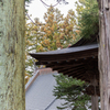 樹々の向こう　八嶽神社