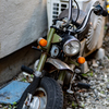 HONDA Z50