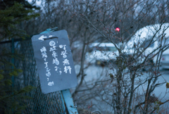 甲斐大泉駅（12年前）