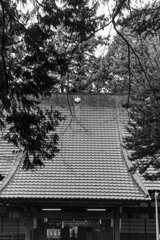 樹々の向こう　八嶽神社