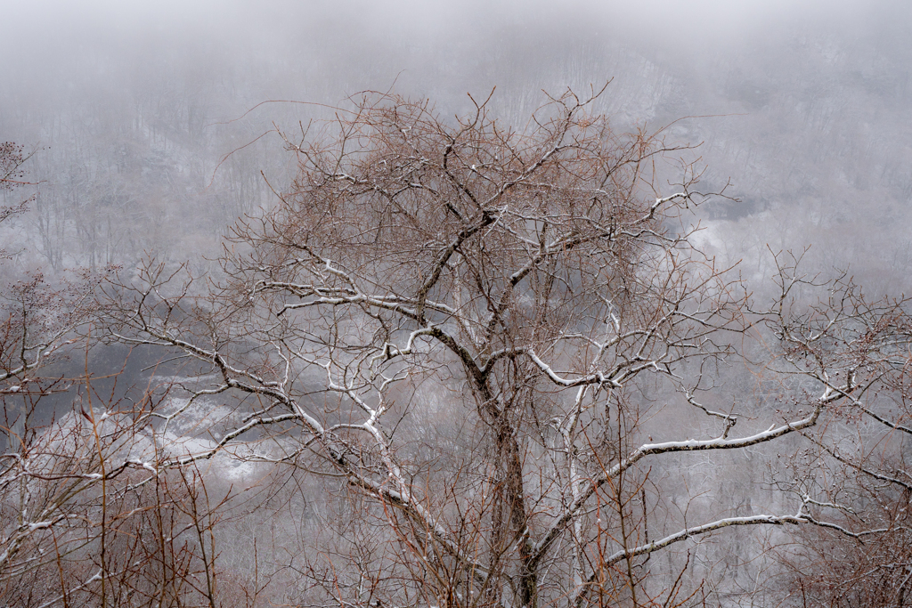 雪混じりの雨