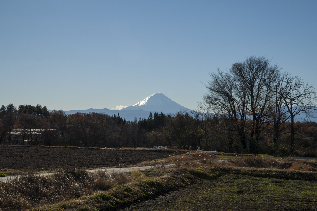 富士山（2012）