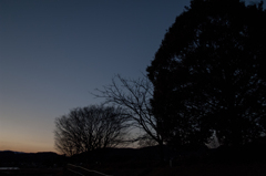 金生遺跡夕景（2012）