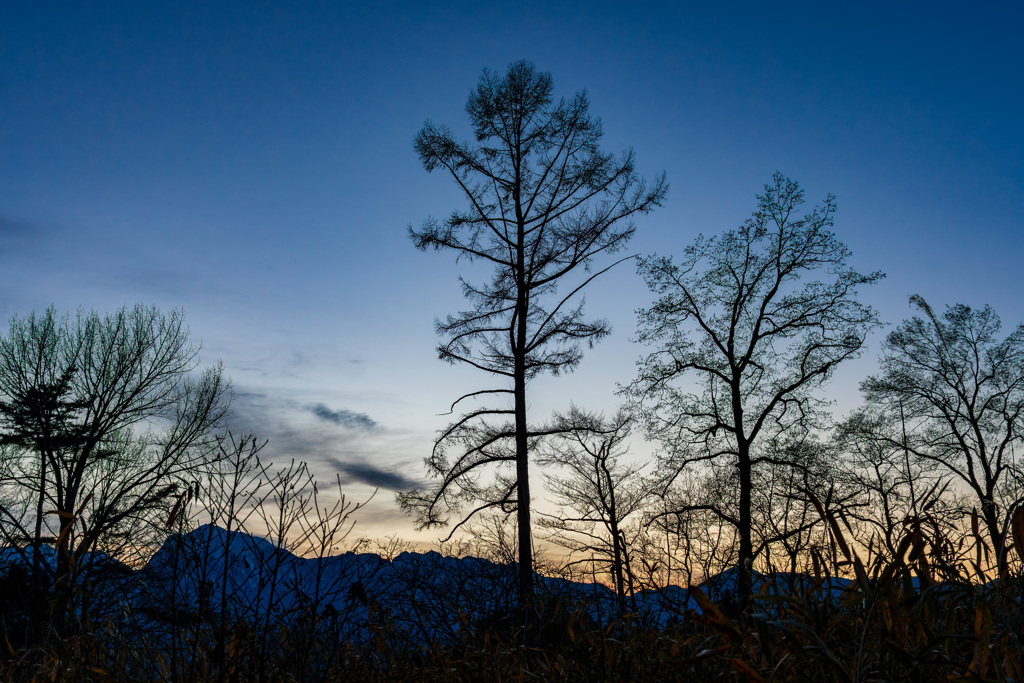夕景