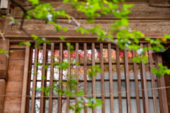 金刀比羅神社（八王子）