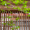 金刀比羅神社（八王子）