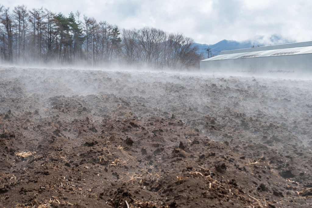 蒸気のあがる畑