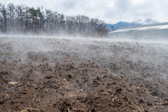 蒸気のあがる畑