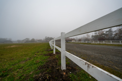 牧場（清泉寮）