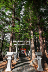 逸見神社・八幡神社