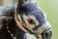 ロバのフィギュア