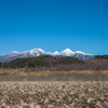 八ケ岳遠望　稲刈り後