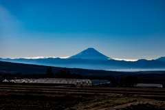 朝の富士山