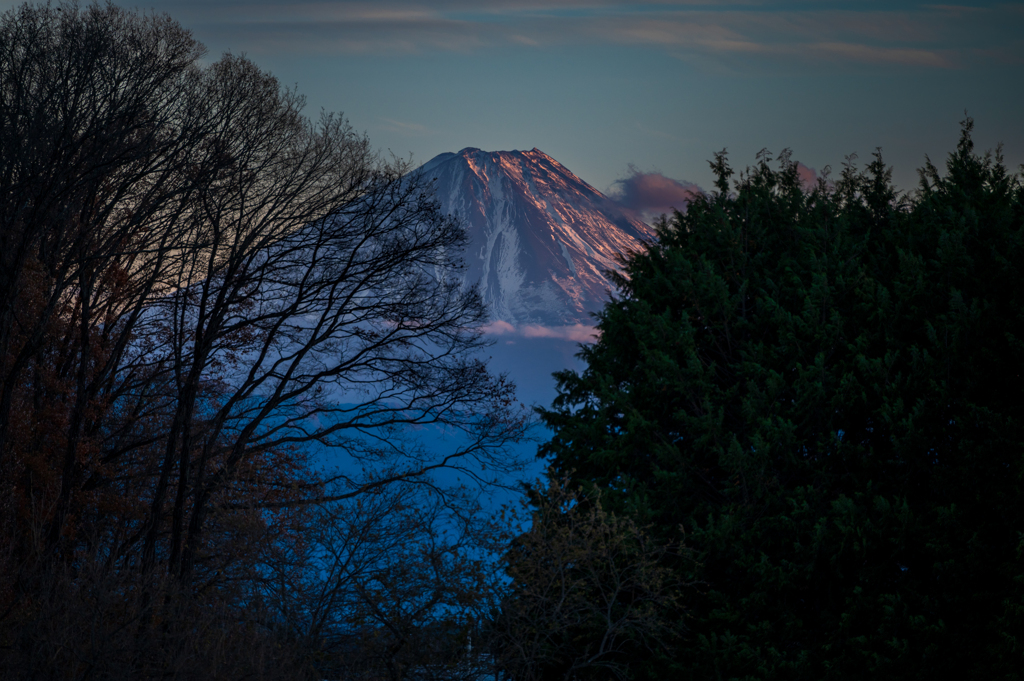 垣間見る、夕の富士