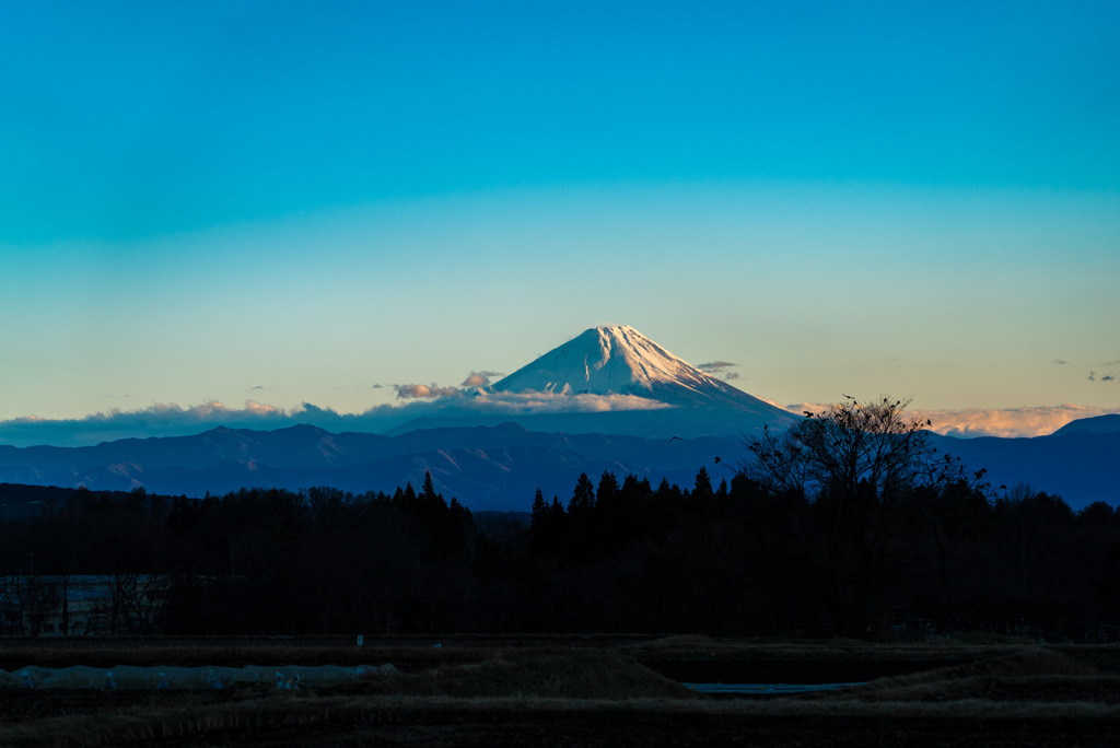 富士山