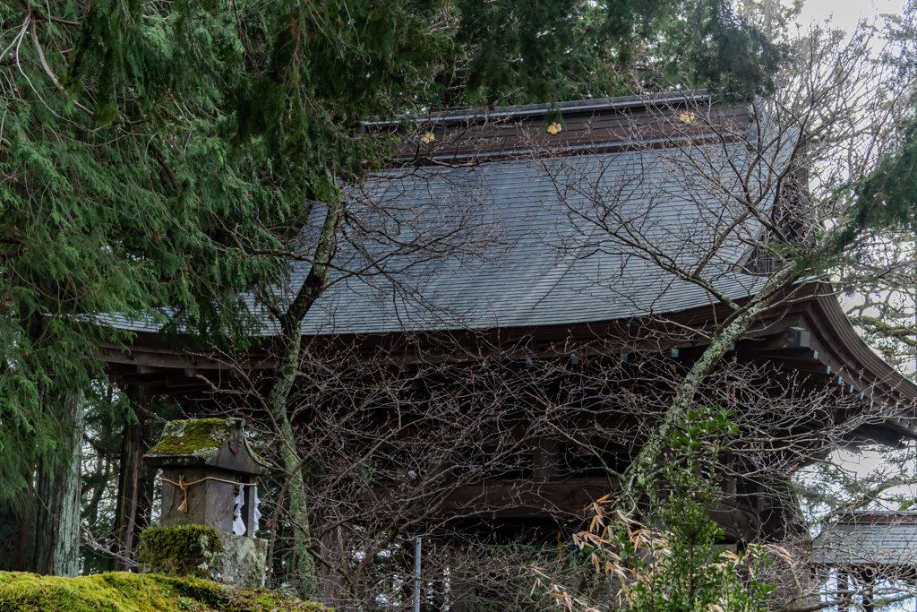 樹々の向こう　八嶽神社