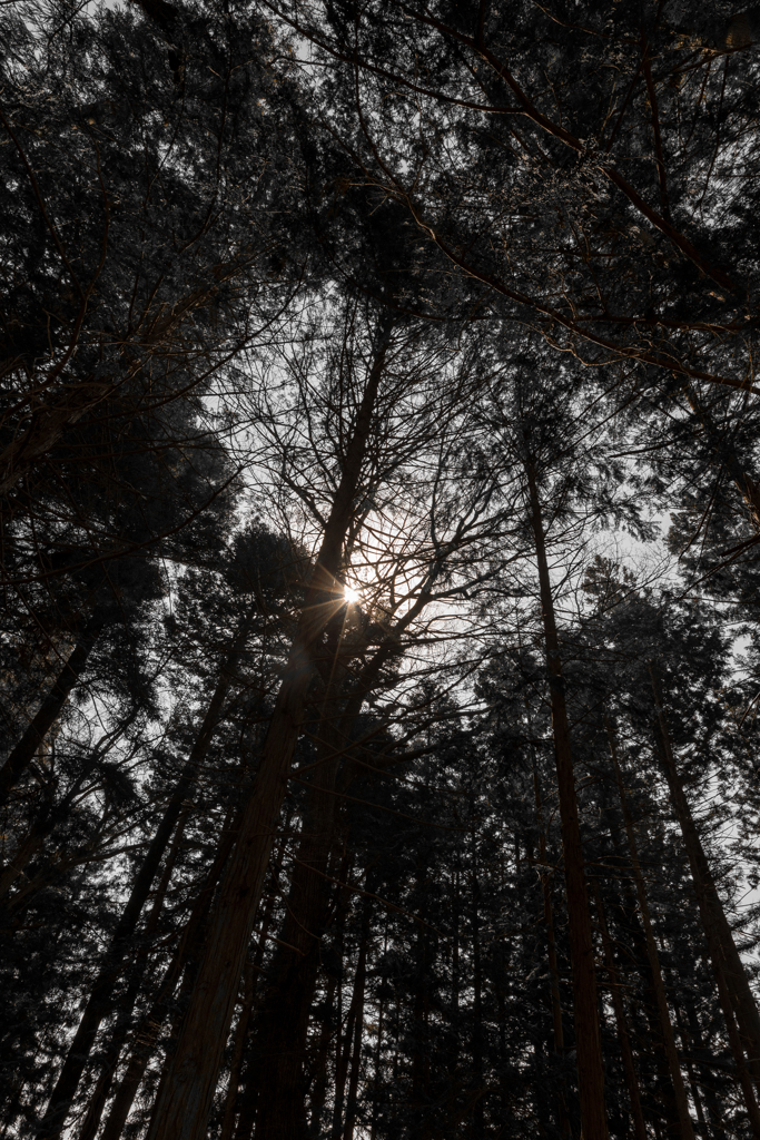 頭上　八嶽神社