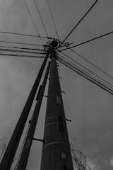 電線と電柱