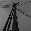 電線と電柱