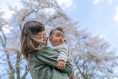 春の風