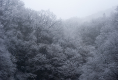 中央線ローカル列車の車窓から（2013）