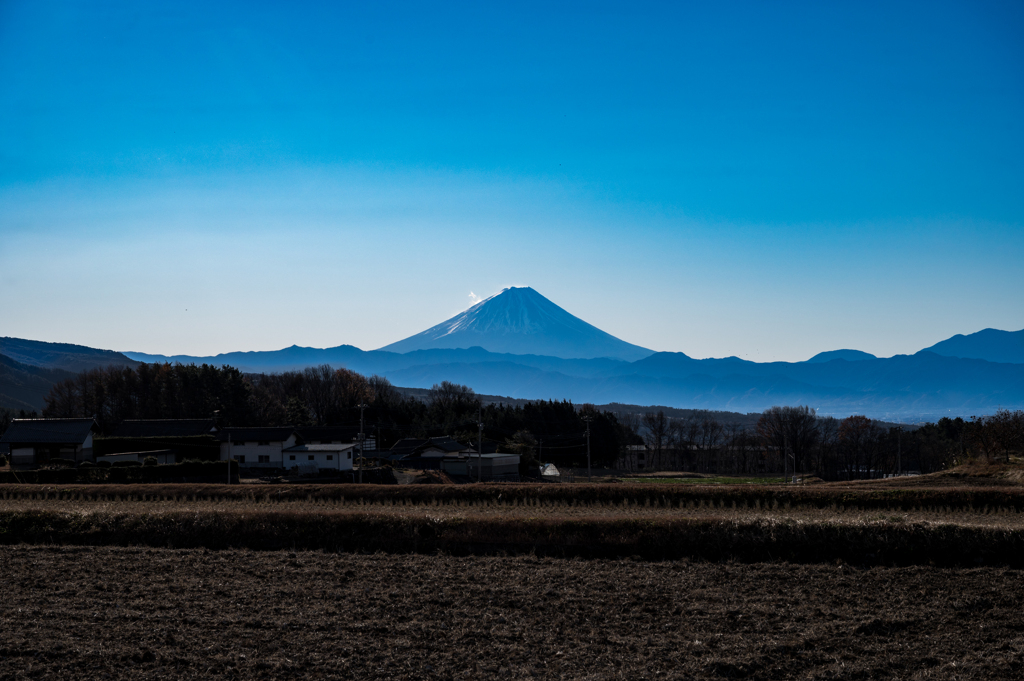 朝の富士山
